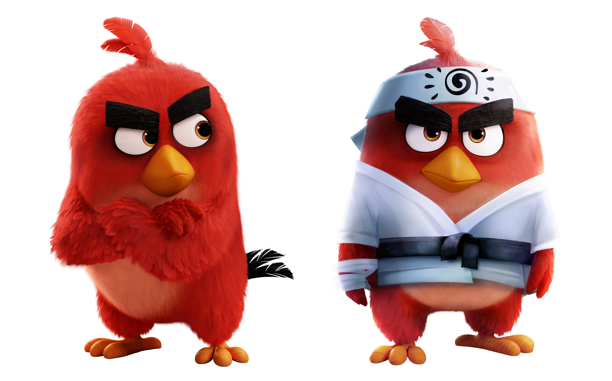 Category:Angry Birds Toons | Angry Birds Wiki | Fandom