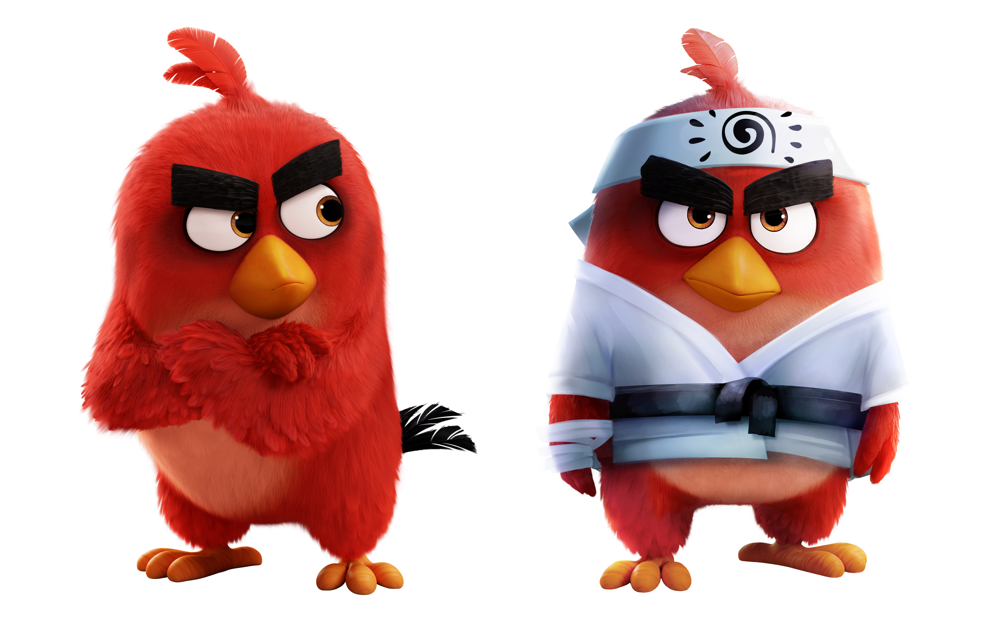 red angry birds wiki fandom red angry birds wiki fandom