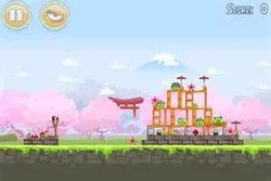 Cherry7