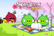 Angry-birds-cherry-blossom 132948