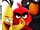 The Angry Birds Movie (DVD)