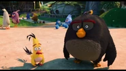 AngryBirdsMovie.png (1.74 MB)