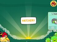 Hatchery Angry Birds Wiki Fandom Hatchery Angry Birds Wiki Fandom
