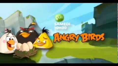 Les Angry Birds débarquent sur Gulli