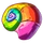 Rainbow Shell