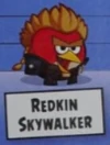Redkin Skywalker