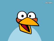 Angry-birds-blau-wallpapers 30942 1600x1200