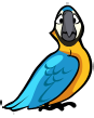 The Blue and Gold Macaw.