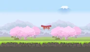 Cherry Blossom World