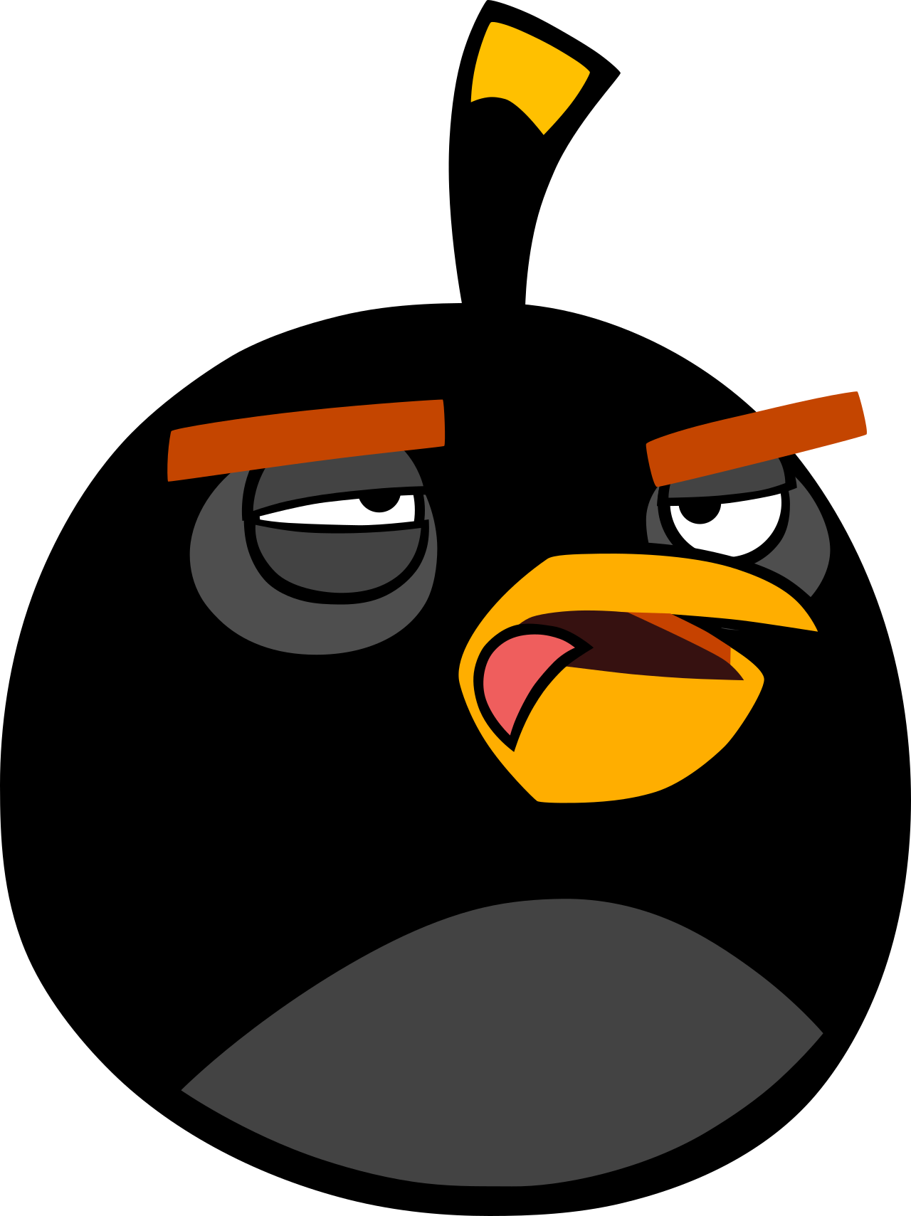 Blacky When he Hit a Wall Chasing the Pigs