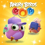 21246536 869854949845232 7331706660624531684 o.jpg (88 KB)