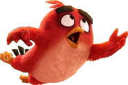 The Angry Birds Movie