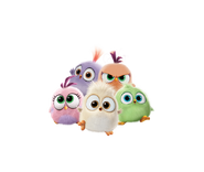 Hatchlings group