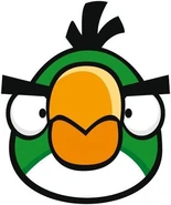 Boomerang Bird Front