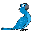 Blu bird-1-