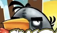 A white/gray bird, possibly Mighty Eagle or Matilda, from the first Angry Birds splash screen nicknamed "Earl" by fans.