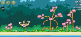 Bird island 31-1