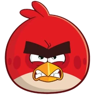 RED ANGRY FRONT copy