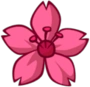 The Cherry Blossom you receive after you complete the episode