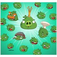 The Bad Piggies