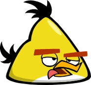 Chuck (corpse, Rio)