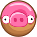 Donut Pig