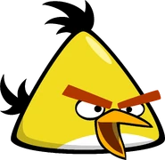 Chuck squawk.png (54 KB) Chuck squawk