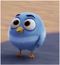 Soccer Boy Bird