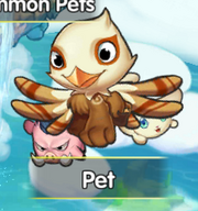 ABAceFighter Pet