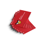 Michelle Willson Playmobile (2).png (544 KB)