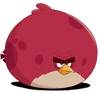 Terence