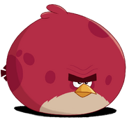 Terence w Angry Birds Toons