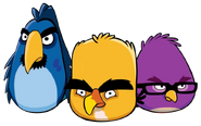 The Developer Birds. The bird depicted as Iisalo is the purple one on the right.