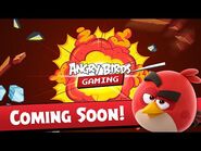 Angry Birds Gaming Channel - Coming Soon!