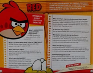Character interview (The World of Angry Birds Official Guide)