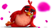 Angrybirds.com (404)