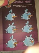 Ice Bird's name in Polish ("Freezer") (Angry Birds Magazine Issue 12)