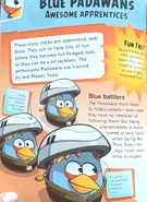 В книге Angry Birds Star Wars Character Encyclopedia