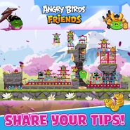 2022 (Cherry Blossom Tournament)