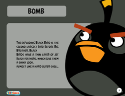 Bomb, Angry Birds Epic Fanmade Wiki