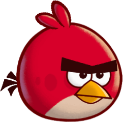 Angry birds fight