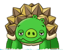 Turtle Pig