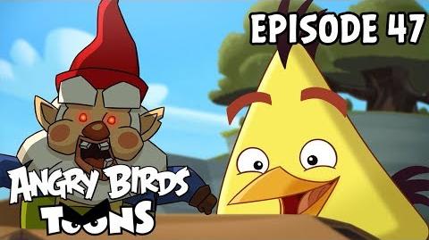Angry Birds Toons Oh Gnome! - S1 Ep47