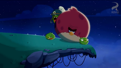 Nighty Night Terence, angry Birds Toonsgardening With Terence S1