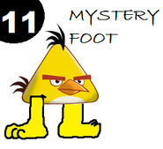 Mystery Foot