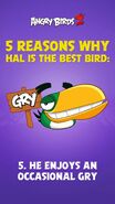 From Angry Birds Instagram Account (5/5) [A meme on the Rovio Gaming Discord Server where users would spam "gry" in a channel titled: "#gry-away" based on a server emoji called ":gry:".]