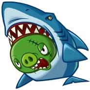 Shark Pig
