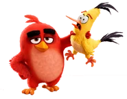 The Angry Birds Movie
