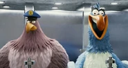 20190723 205229.jpg (78 KB) Disgusted with Harvey.