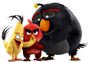 The Angry Birds Movie